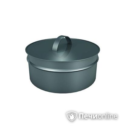 Заглушки Теплов и Сухов Заглушка ревизии Термо-Р 304 0.5 D220(120) в Реже